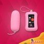 Remote Control Vibrating Egg BV-003