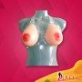 Silicone Bosom 550 gms/pair with Transparant Bra SBP-001